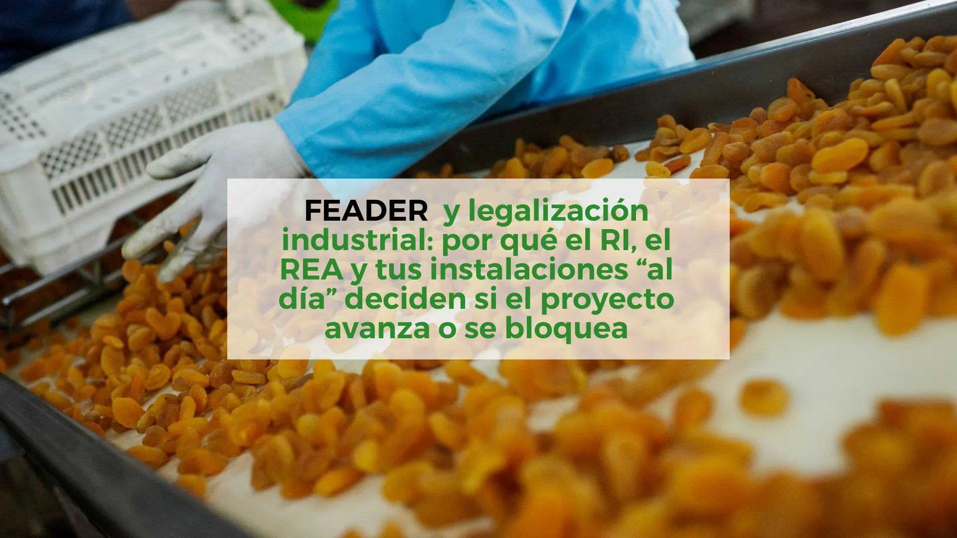FEADER-y-legalización-industrial:-por-qué-el-RI,-el-REA-y-tus-instalaciones-“al-día”-deciden-si-el-proyecto-avanza-o-se-bloquea